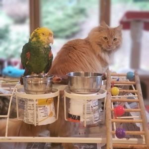 Meet your Posher, Leila